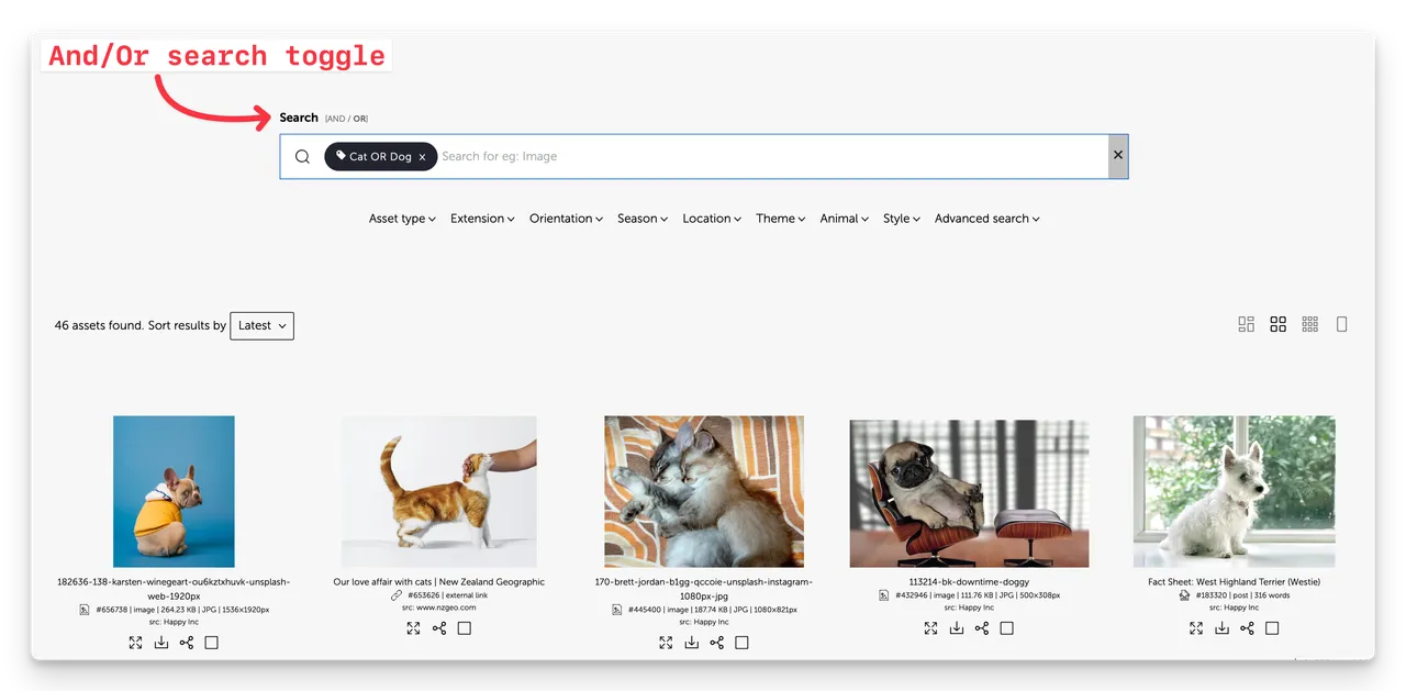 (Screenshot showing an OR search