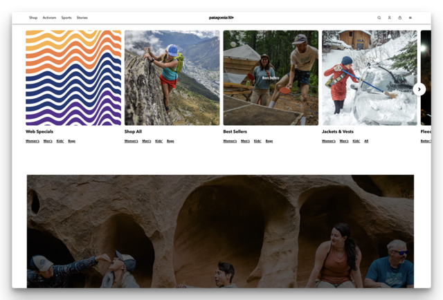 Screenshot of Patagonia.com website 24 Apr 2023 about brand identity