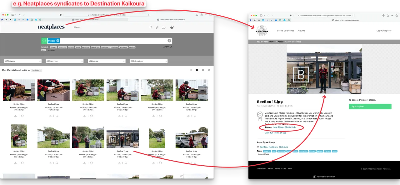 bk-syndication-np-to-kaikoura