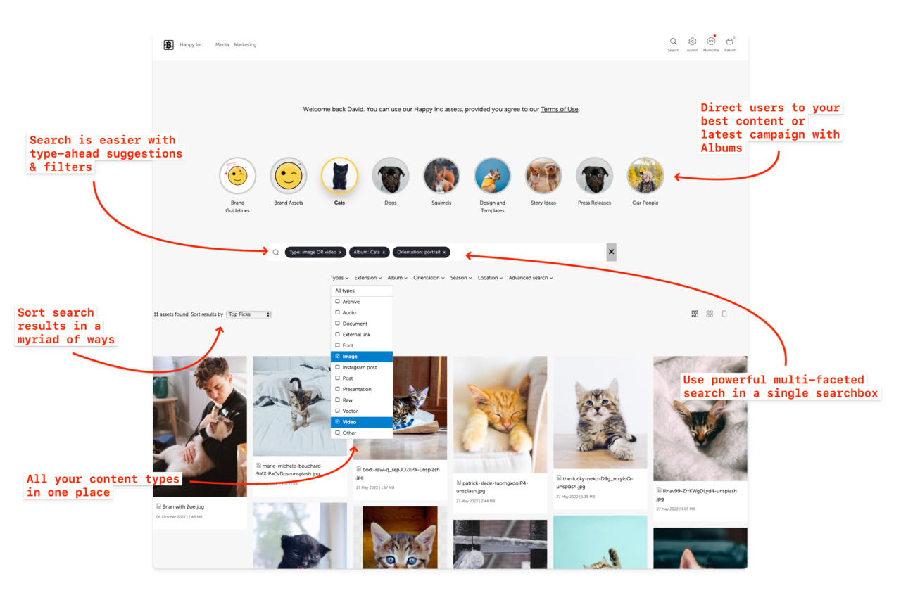 Brand Portal landing page screenshot