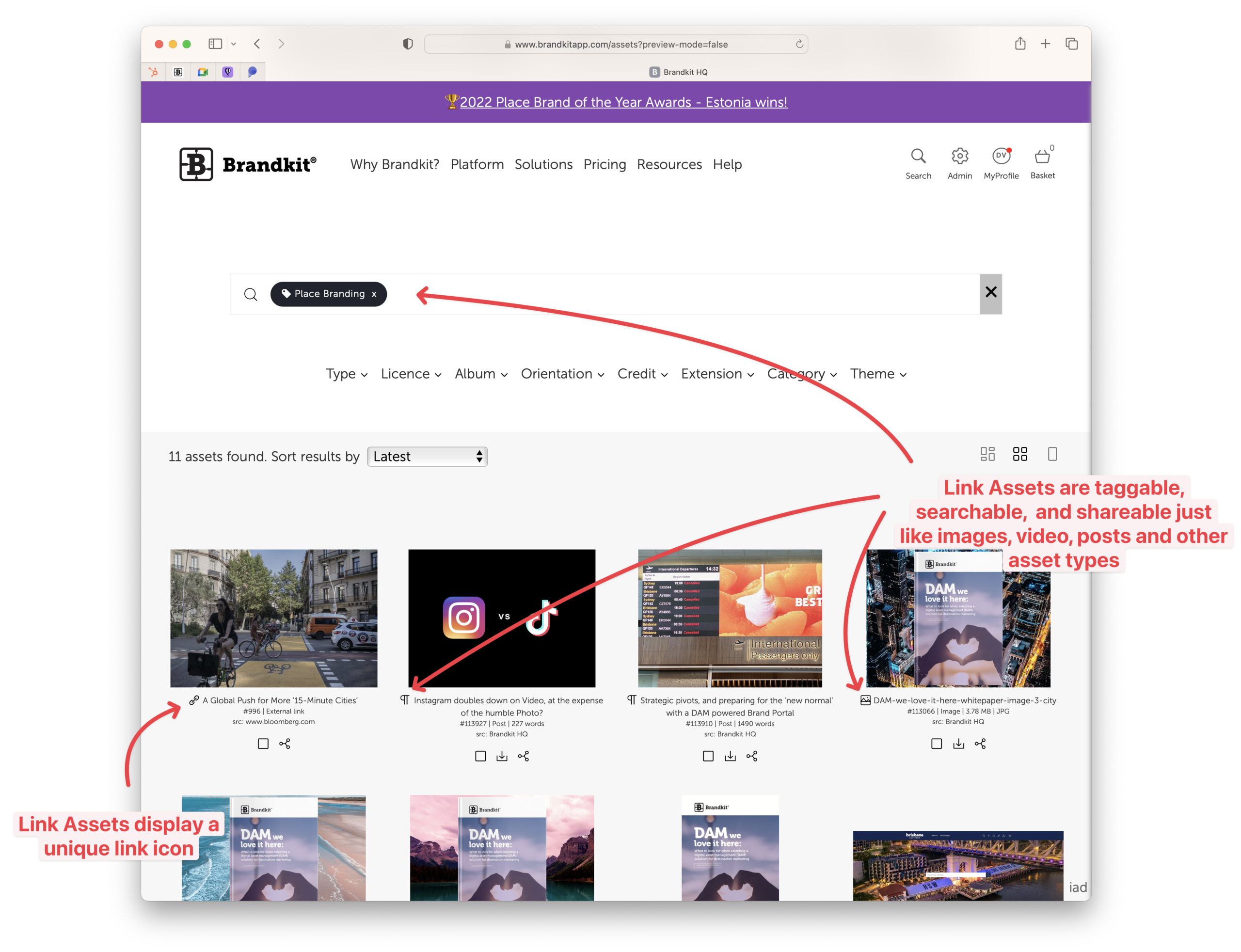 Screenshot of a Link Asset mixed in with other Asset types in a search result