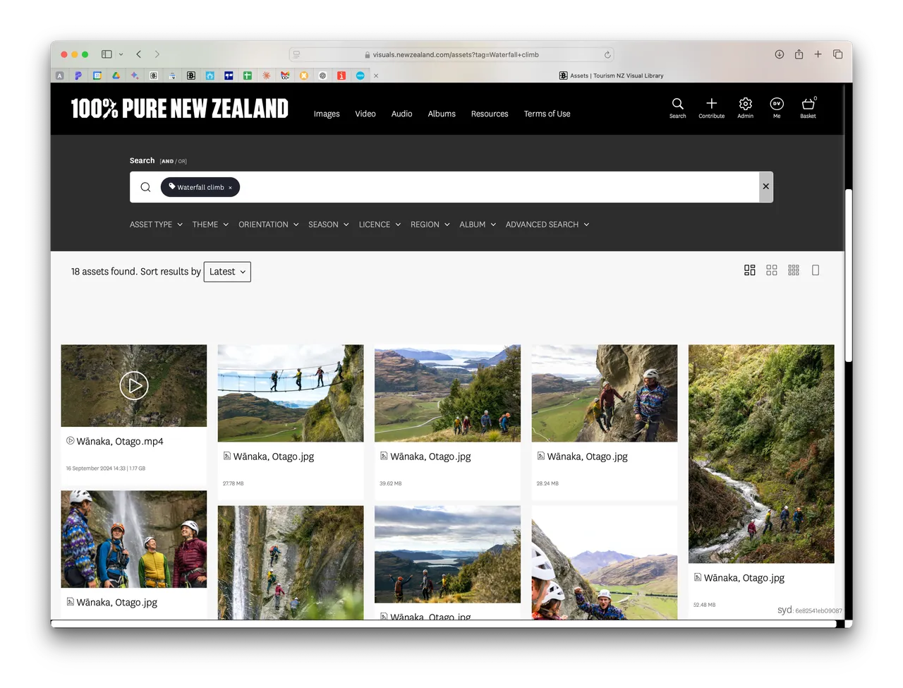 Video assets appear alongside other Asset types in Searches