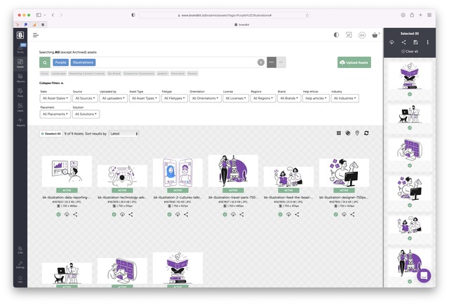 Screenshot of illustration Assets in the Admin console