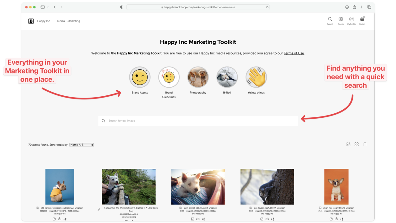 Screenshot of demo account showing Albums for everything