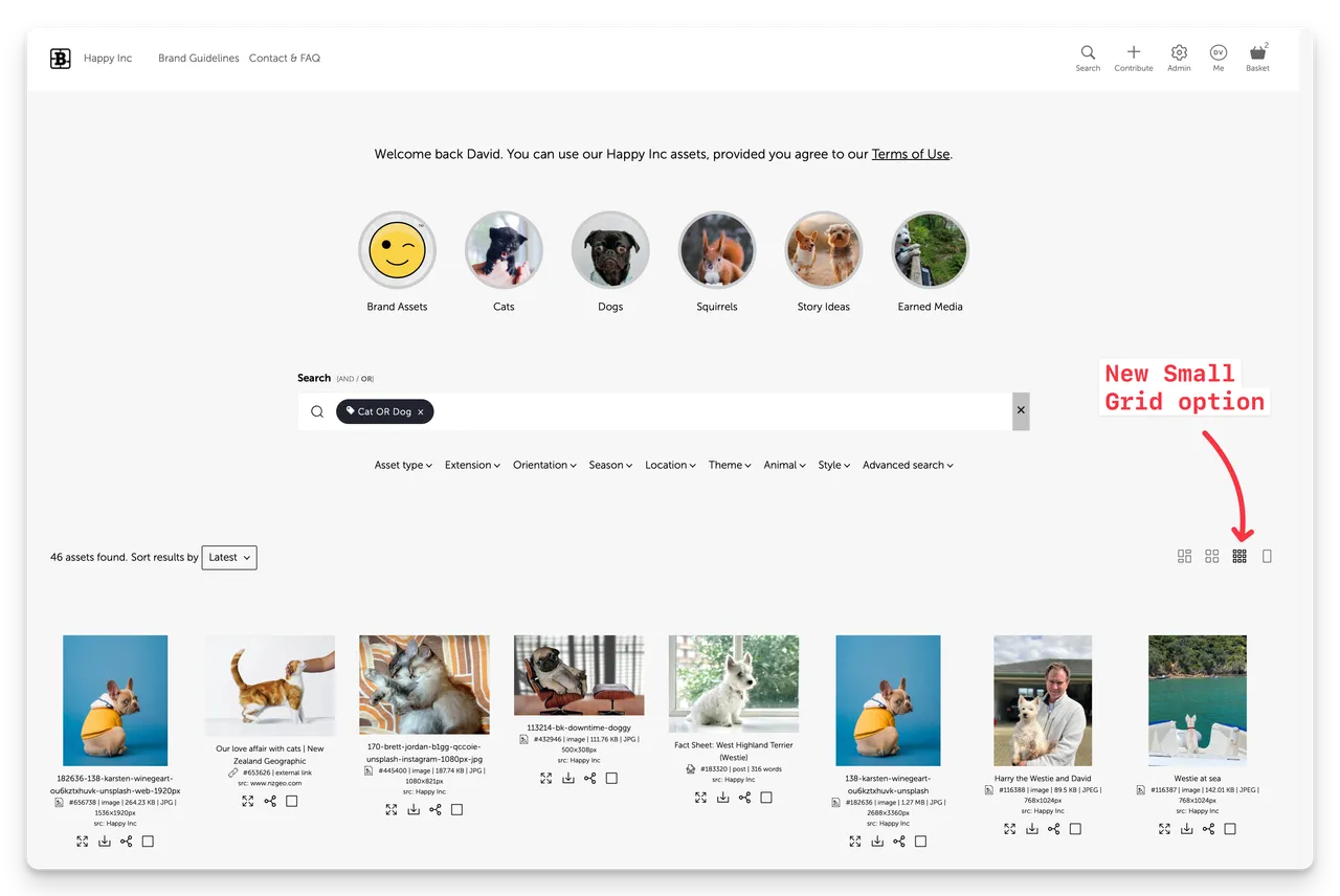 Screenshot of New Small Grid Option in Portal