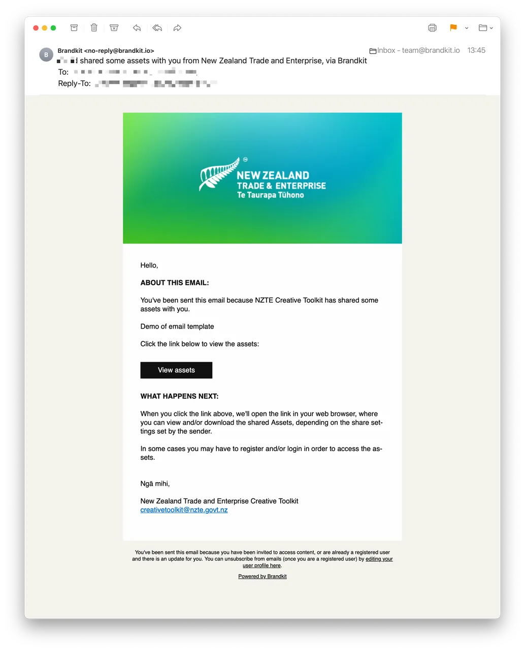 HTML-email-example-for-nzte@2x