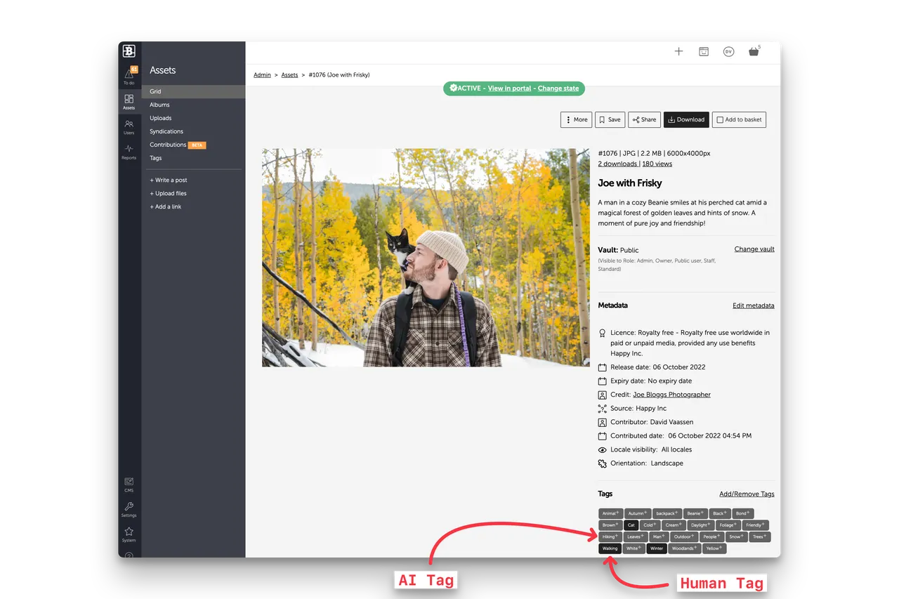 brandkit app AI tags indication