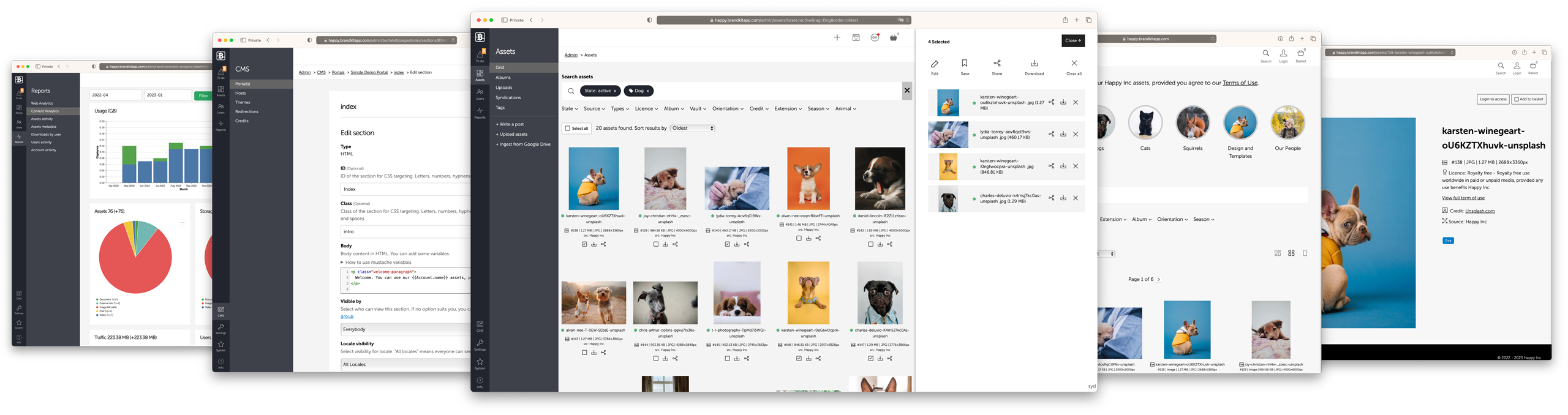 Montage of various screenshots of Brandkit software