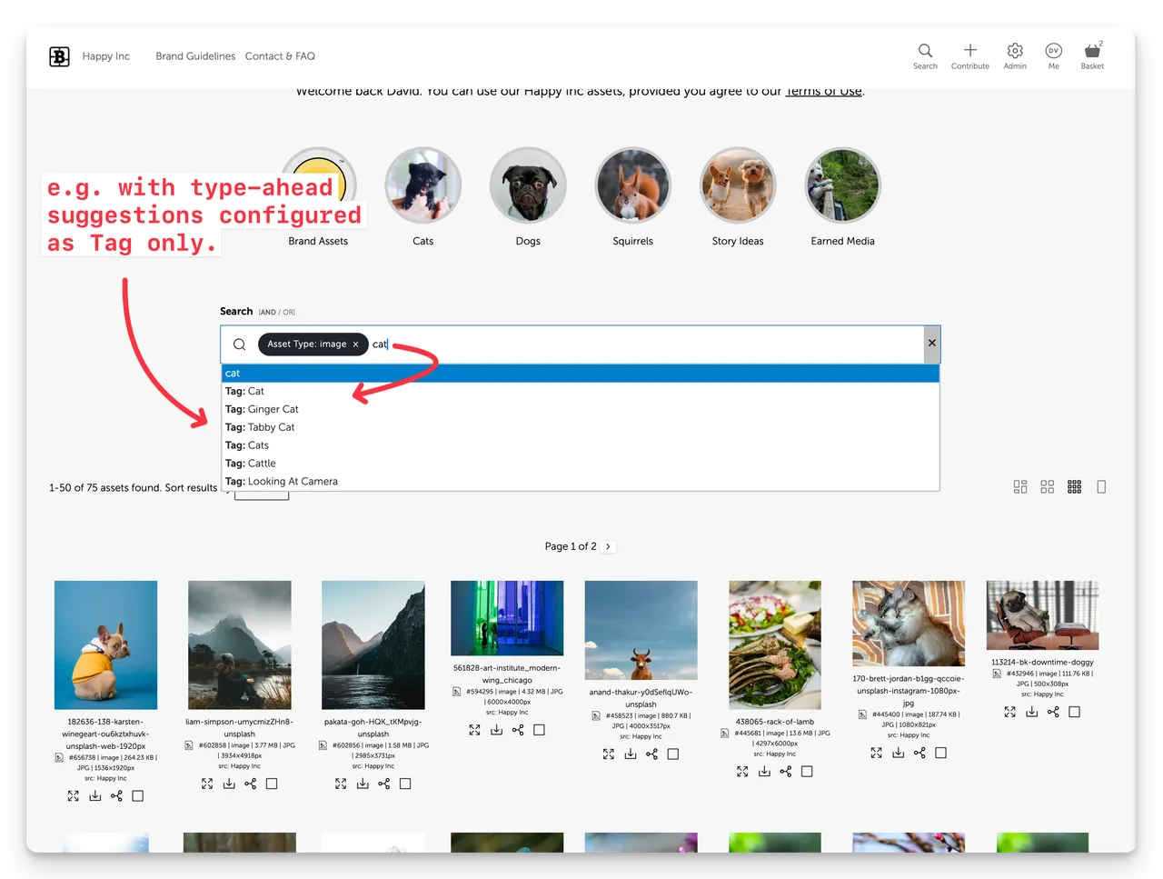 Screenshot of type-ahead suggestions with the Tag only option configured