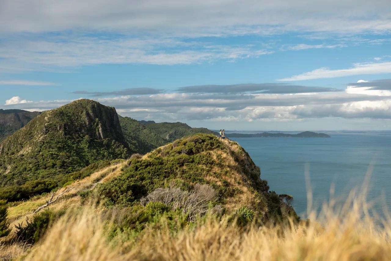 Waitākere Ranges, Auckland