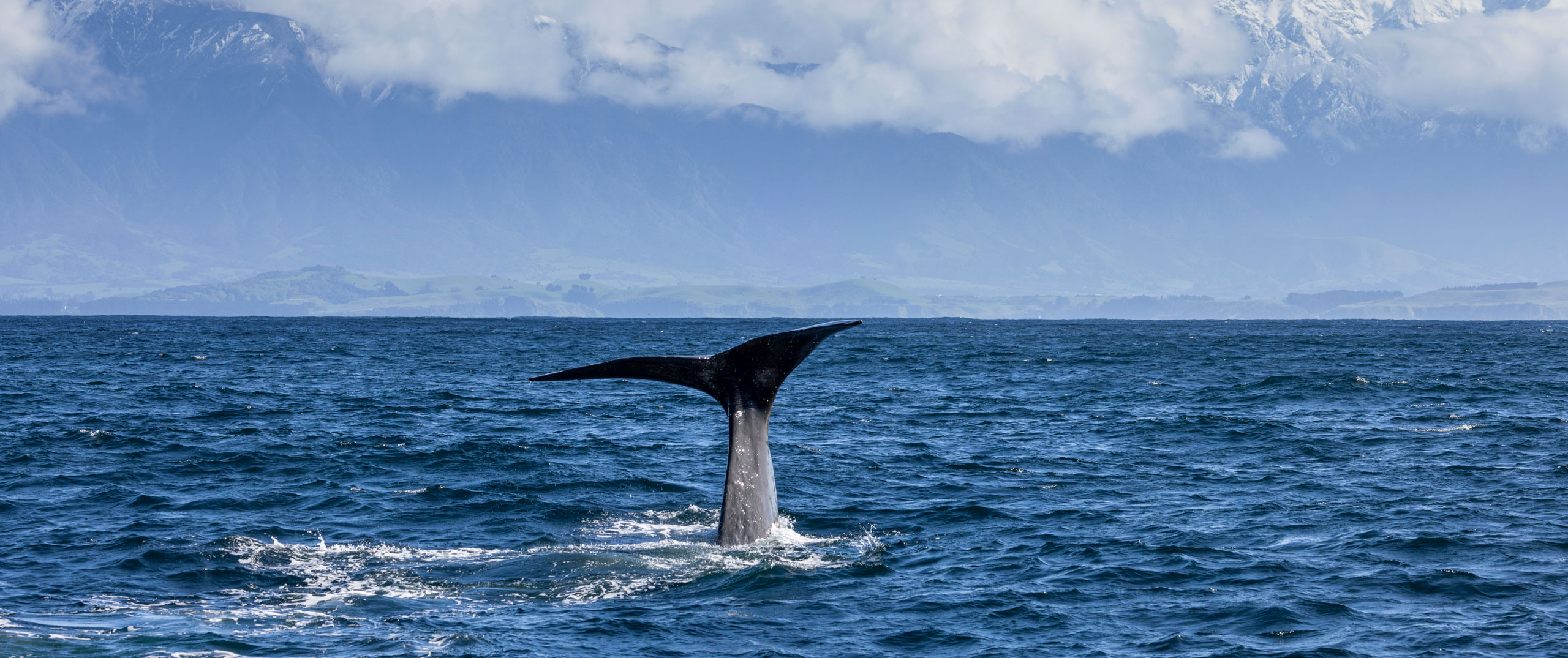 Kaikoura, NZ