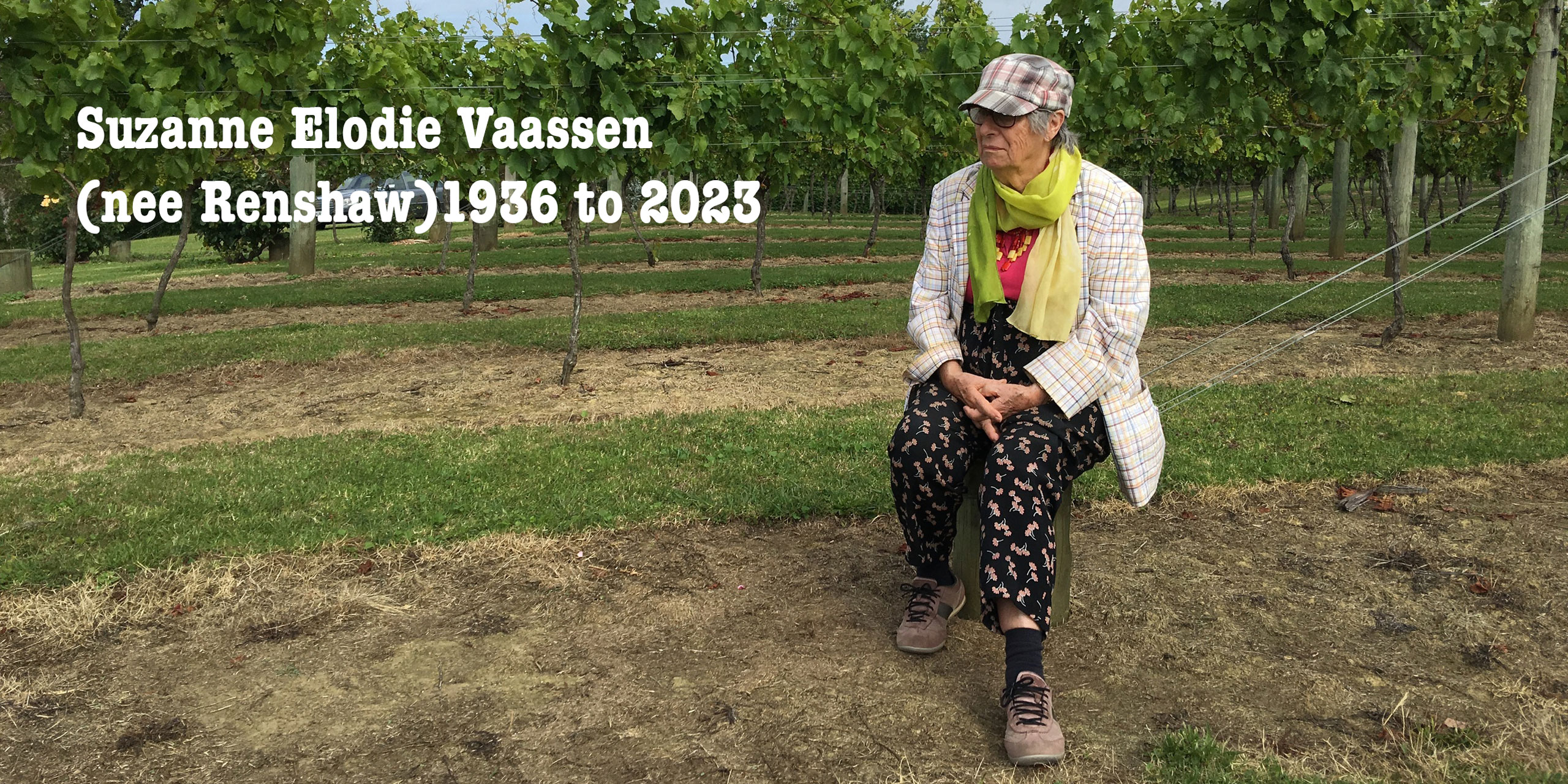 Photo of Sue sitting on a post on David and Janets Mangawhai vineyard