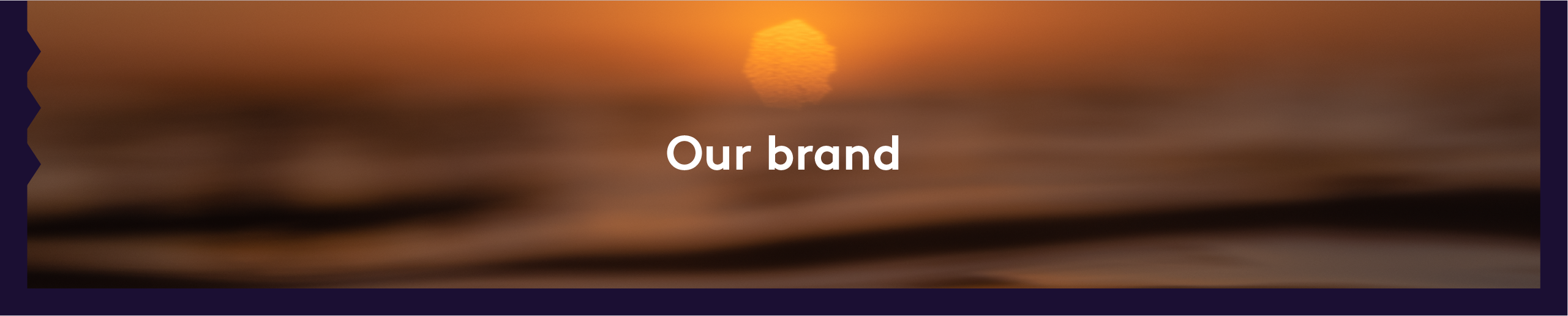 Our Brand banner image