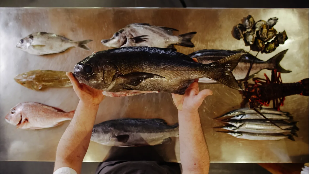 Launceston Place Brand Toolkit Fresh Fish