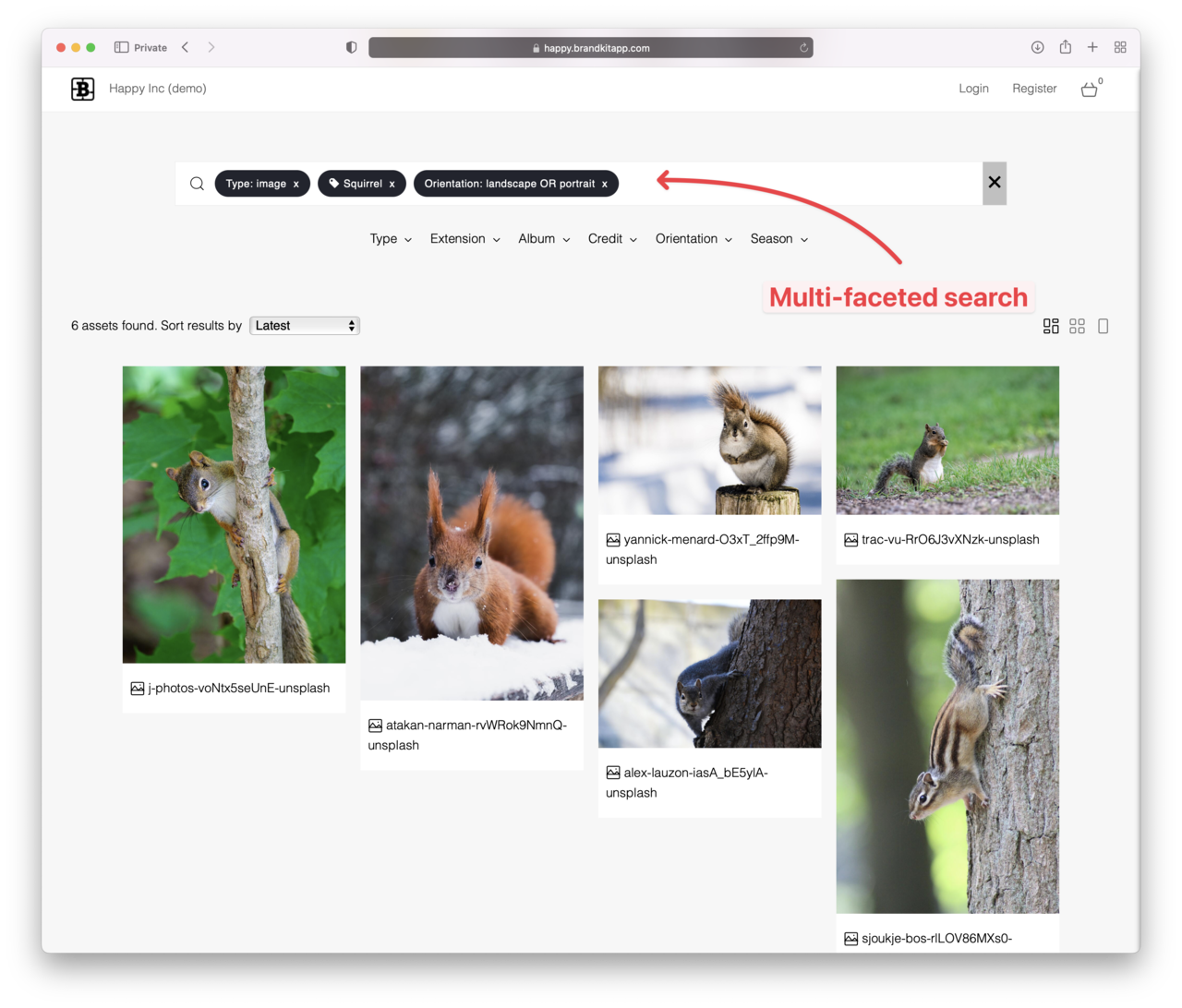 Screenshot of multi-faceted search